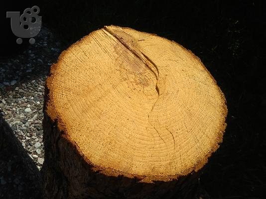 PoulaTo: πωλουνται κουτσουρα